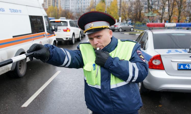 МВД утвердило изменения в водительских удостоверениях
