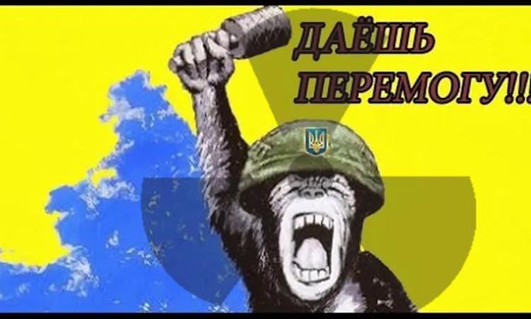 Появились подозрения, что украинские военные пытаются своими силами создать атомное оружие, в виде грязной ядерной бомбы