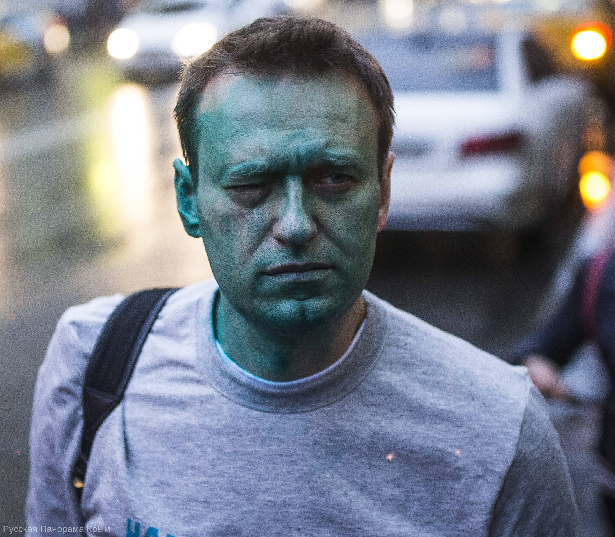 navalny zelenka cropped1