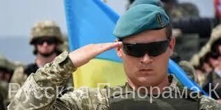 ukraina v nato