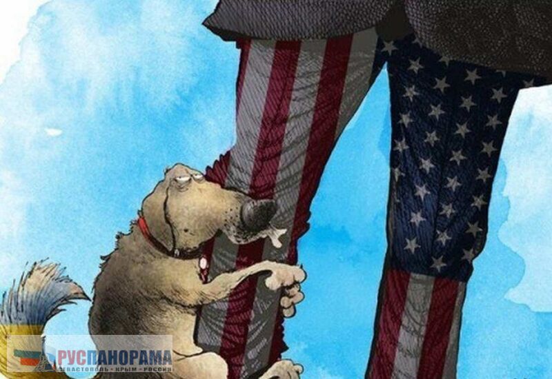 Китайцы: Украина - собака США